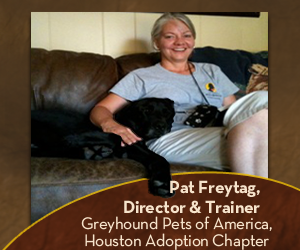 How to Become a Certified Dog Trainer Pat Freytag Dog Trainer Jim Burwell Petiquette Dog Trainer Coach Mentor How to Become a Certified Dog Trainer