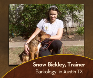 How to Become a Certified Dog Trainer Snow Bickley Dog Trainer Jim Burwell Petiquette Dog Trainer Coach Mentor How to Become a Certified Dog Trainer
