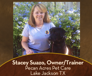 How to Become a Certified Dog Trainer Stacey Suazo Dog Trainer Jim Burwell Petiquette Dog Trainer Coach Mentor How to Become a Certified Dog Trainer