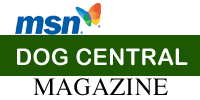 How to Become a Certified Dog Trainer MSN Dog Central Article Featuring Jim Burwell Dog Trainer How to Become a Certified Dog Trainer