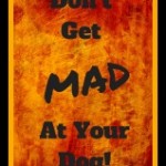 Don't Get Angry At Your Dog