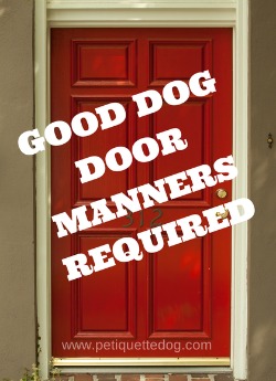 teach dog front door manners