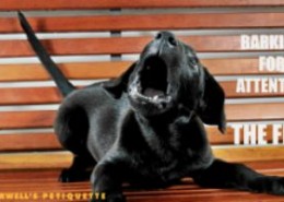 barking dog, Jim Burwell, dog behavior Houston