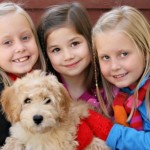 kids and dogs