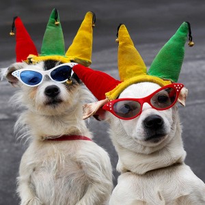 Dog Halloween Safety Tips