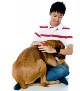 ourfearfuldog ourfearfuldog 265x300 Our Fearful Dog