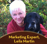 How To Grow Dog Training Business Marketing Articles Marketing For Dog Trainers