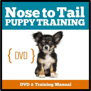 Nose-to-Tail-Puppy-Training_FINAL