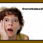 Dog Training Short Sweet To the point