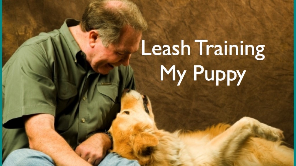 Leash Training My Puppy