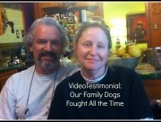 Stopping Family Dogs Fighting