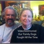 Our family dogs fight