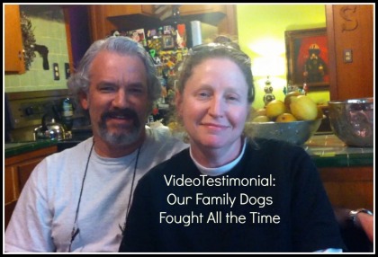 Our family dogs fight