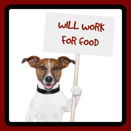 Give Your Dog What He Needs