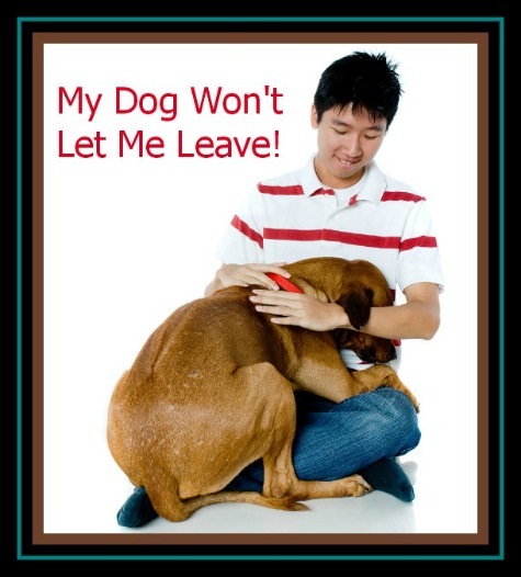 My Dog Will Not Let Me Leave