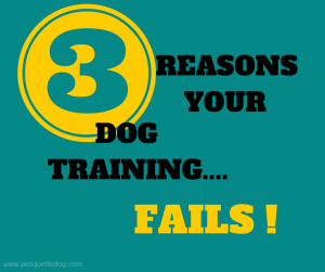 Why Dog Training Will Not Work