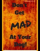 Don’t Get Mad at Your Dog