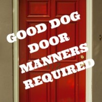Training for Good Dog Door Manners