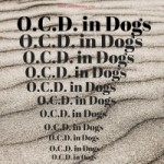 O.C.D. in Dogs