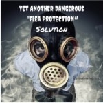 dog training in Houston by Jim Burwell