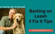 Barking on Leash, dog training Houston, Jim Burwell