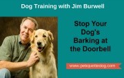 stop doorbell barking