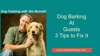 Jim Burwell dog trainer