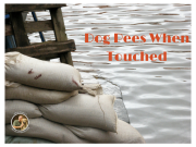 dog behavior Houston, Jim Burwell