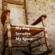 dog behavior Houston, Jim Burwell's Petiquette