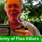 Jim Burwell, Dog Training Houston