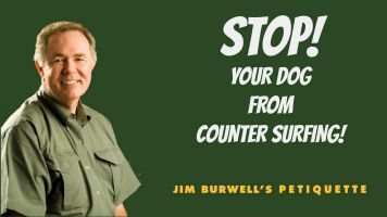 dog behavior Houston, Jim Burwell